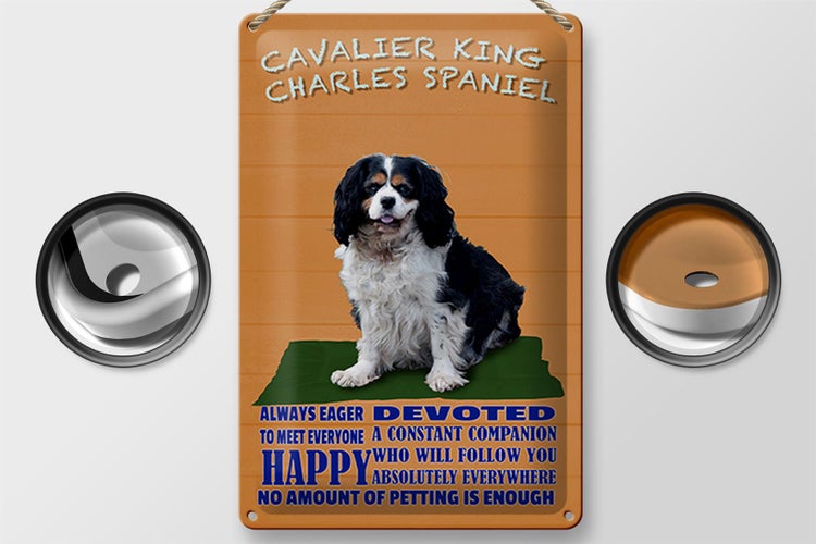 Blechschild Spruch 20x30cm Cavalier King Charles Spaniel orange