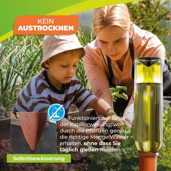 Topfpflanzenbewässerung „Hydro Wine“ 4 Stk. Tonkegel für Wein- & PET-Flaschen