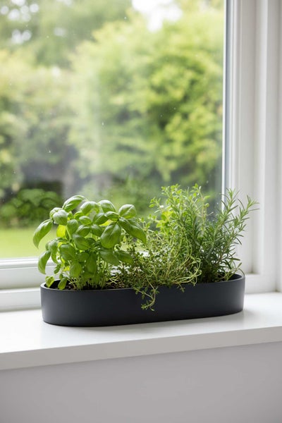 Kräutertopf in ovaler Form mit Basilikum, Thymian und Rosmarin auf einer Fensterbank vor einem Fenster.