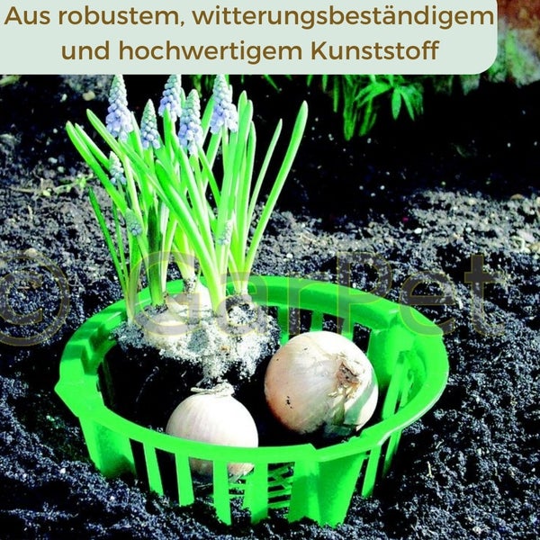 Pflanzkörbe für Blumenzwiebeln Pflanzkorb Blumenzwiebeln Pflanzkörbe für Tulpen Zwiebelpflanzschale Herbstpflanzung Blumenzwiebelschale ø 22 cm 3 St.