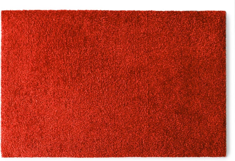 FLOORDIREKT Fußmatte Domenico - stilvolle & praktische Schmutzfangmatte - Rot - 50 x 80 cm