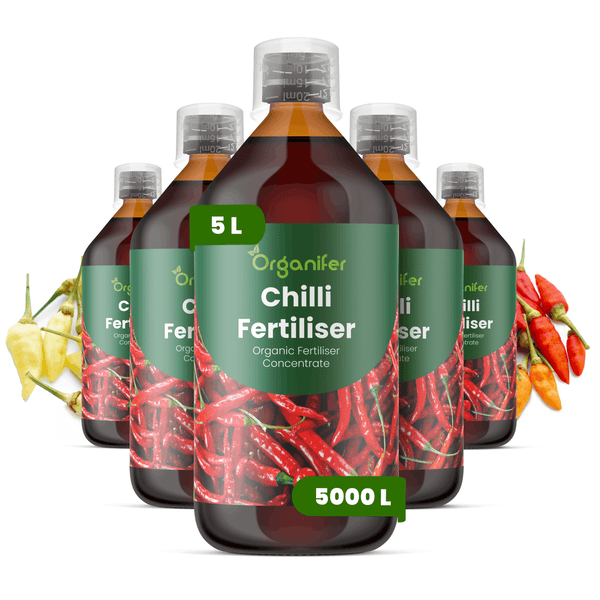 Fünf 5-Liter-Flaschen Organifer Chili-Dünger Konzentrat für insgesamt 5000 Liter Düngerlösung.