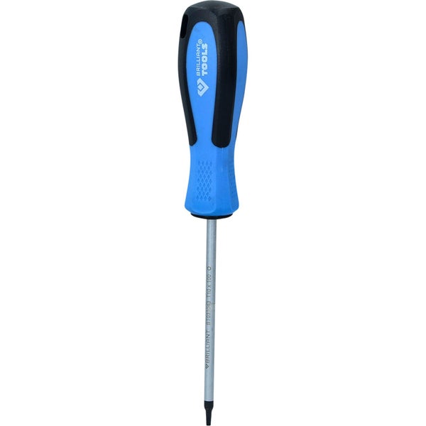 Schraubendreher T10 x 100 Millimeter