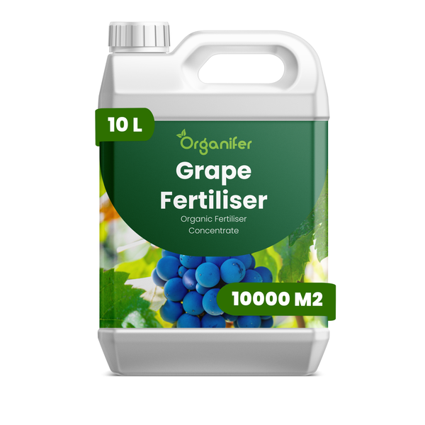 Organifer Weinrebendünger Konzentrat, organischer Dünger, 10 Liter Kanister für 10000 Quadratmeter.