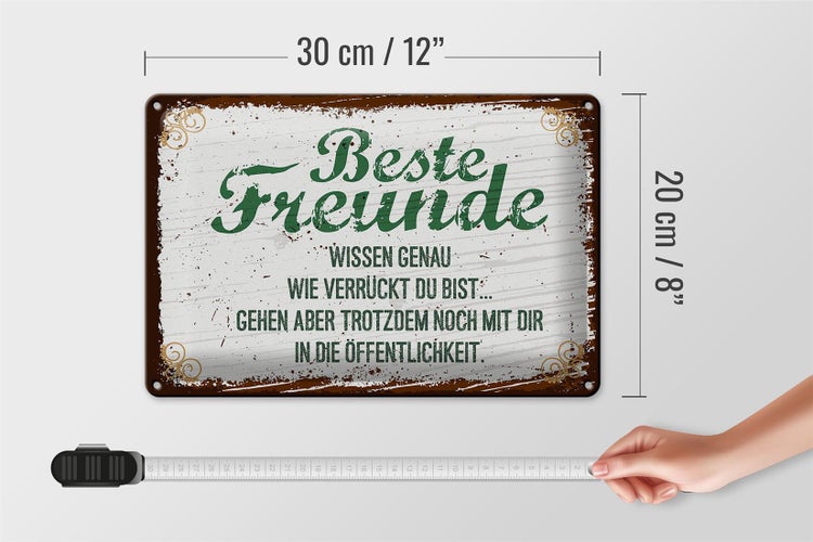 Blechschild Spruch 30x20cm Beste Freunde wissen grün braun