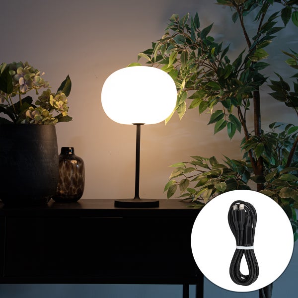 Moderne Tischleuchte mit rundem Schirm und schwarzem Standfuß auf einer Kommode neben Pflanzen, inklusive USB-Ladekabel.