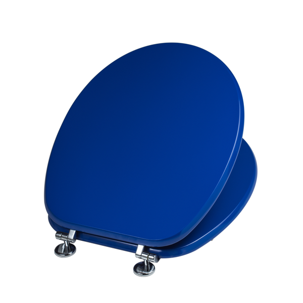 Brillantblauer Universal- WC Sitz