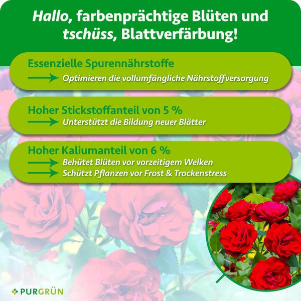 Infografik zum Purgruen Rosenduenger mit Informationen zu Spurennährstoffen, Stickstoff und Kalium für gesunde und blühfreudige Rosen.