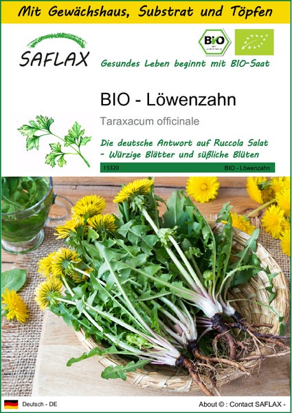 SAFLAX Anzucht Set - BIO - Löwenzahn - Taraxacum officinale - 400 Samen - Mit Mini-Gewächshaus, Anzuchtsubstrat und 2 Töpfen