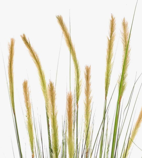Künstliches Ziergras mit langen, schmalen Halmen in verschiedenen Grüntönen.