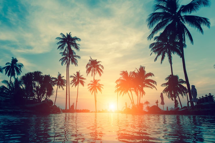 Wandtapete mit tropischem Strandmotiv bei Sonnenuntergang und Palmensilhouetten.
