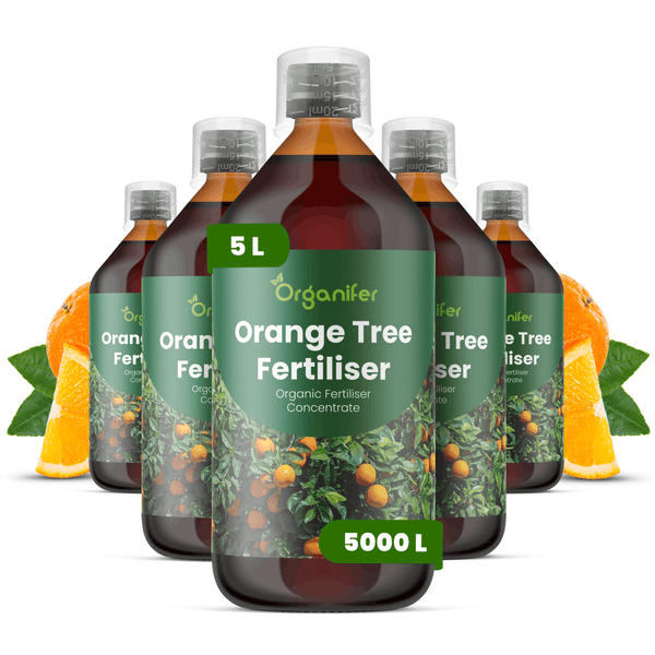 Fünf Flaschen Organifer Orangenbaum-Dünger, organisches Düngerkonzentrat, 5 Liter pro Flasche, Ergiebigkeit bis zu 5000 Liter.