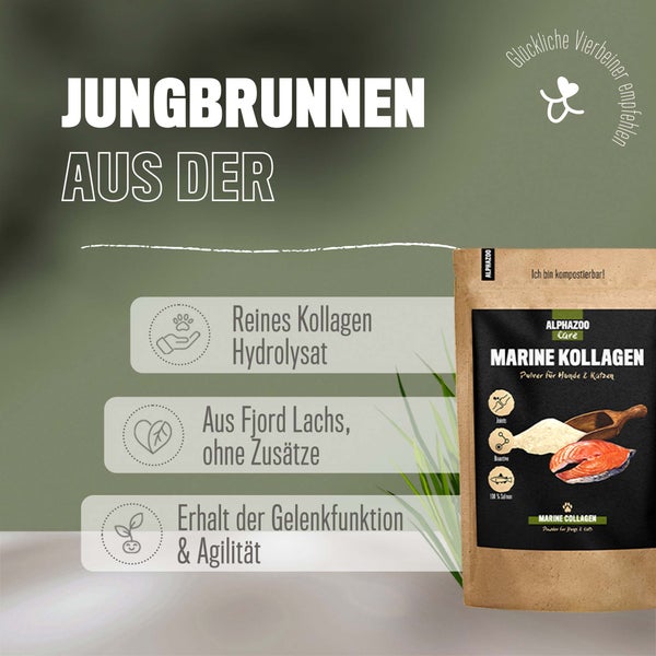 ALPHAZOO Marine Kollagen Pulver 250g für Hunde und Katzen I Fisch Kollagenhydrolysat