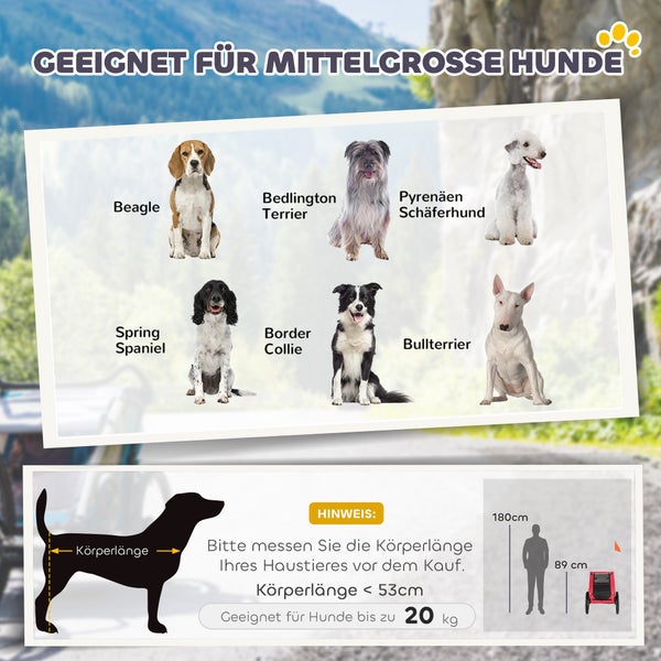 Infografik für Hunde bis 20 Kilogramm und 53 Zentimeter Länge. Vor dem Kauf Körperlänge messen. Passend für Beagle, Border Collie und Bullterrier.