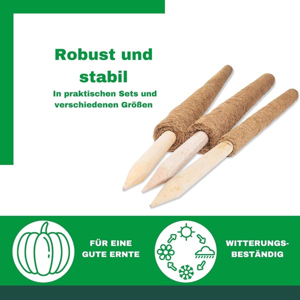 Drei robuste und stabile Kokos-Pflanzstäbe mit Holzspitze, witterungsbeständig und förderlich für eine gute Ernte.