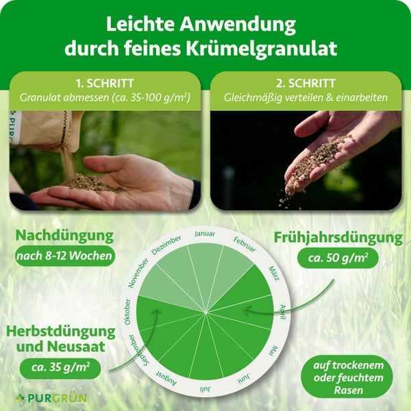 Infografik zur Anwendung: 1. Granulat abmessen (circa 35 bis 100 Gramm pro Quadratmeter), 2. Gleichmäßig verteilen. Düngekalender. Purgrün Logo.