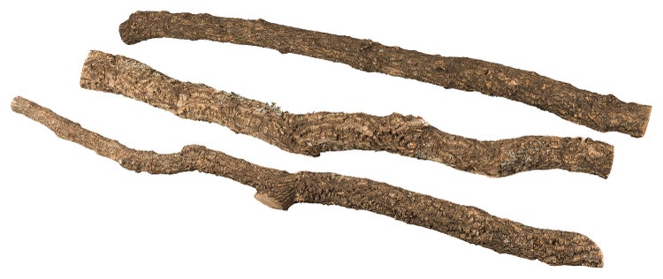 Drei natürliche Korkäste aus Korkeichenrinde zur Dekoration von Terrarien oder Wohnräumen.