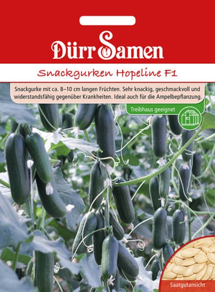 Dürr Samen Logo. Samentüte Snackgurken Hopeline F1 mit wachsenden Gurken und Detailansicht der Samen. Für das Gewächshaus geeignet.
