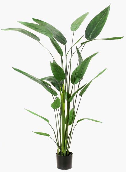 Kunstpflanze Heliconia ANURIA, 26 Blätter, grün, 175cm - Zimmerpflanze im Topf
