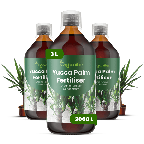 Drei Flaschen Organifer Yucca-Palmen-Dünger, organisches Flüssigdünger-Konzentrat, insgesamt 3 Liter.