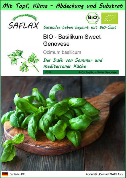 SAFLAX Garden to go - BIO - Basilikum Sweet Genovese - Ocimum basilicum - 800 Samen - Mit Topf, Klima - Deckel und Anzuchtsubstrat