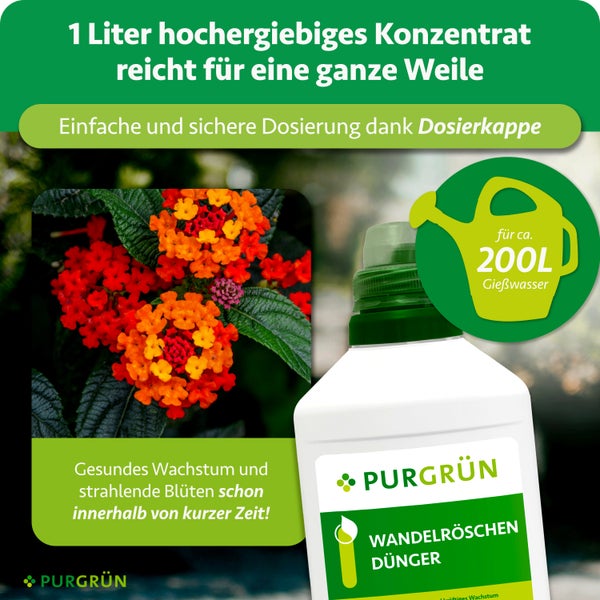 Purgrün Wandelröschen-Dünger, 1 Liter Flasche, mit Guano und Aqua Plus, für circa 200 Liter Gießwasser, hergestellt in Deutschland.