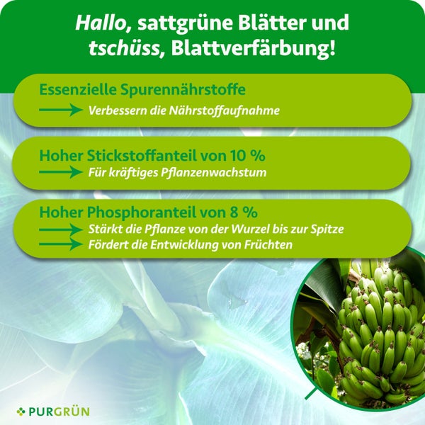 Infografik zu Purgrün Dünger: 10 Prozent Stickstoff, 8 Prozent Phosphor und Spurennährstoffe für gesundes Wachstum. Purgrün Logo.