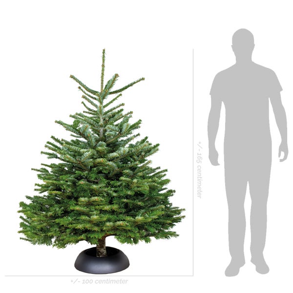 Steckschlüssel für Sanitärarmaturen