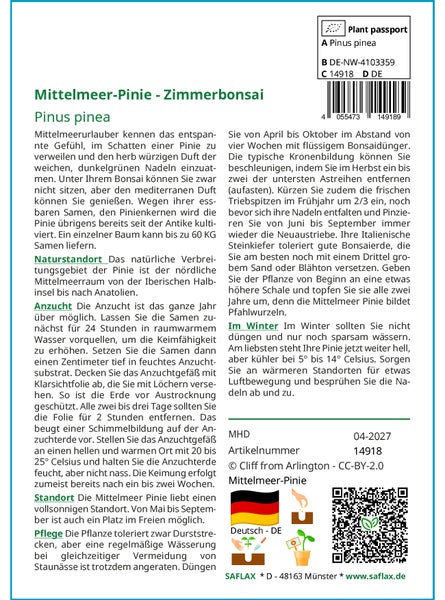 SAFLAX  - Mittelmeer-Pinie - Pinus pinea - 6 Samen
