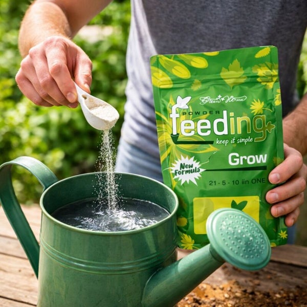 Eine Person gibt Nährstoffpulver in eine Gießkanne, daneben eine Packung Grünpflanzendünger.