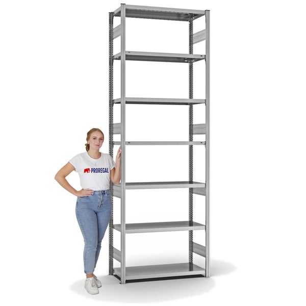 PROREGAL Fachbodenregal Stecksystem T-Profil Heavy-Duty Grundregal HxBxT 300 x 100 x 40 cm 7 Ebenen Fachlast 315 kg Beidseitig Nutzbar Verzinkt