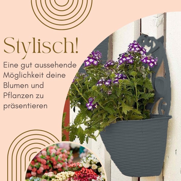 Wandpflanzgefäß zur Präsentation von Blumen und Pflanzen