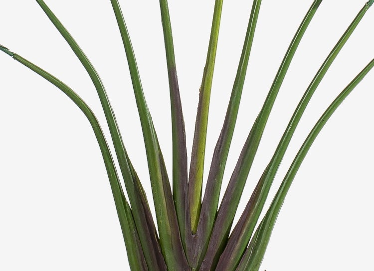 Künstliche Geigenfeige Ficus lyrata im schwarzen Kunststofftopf mit großen grünen Blättern.