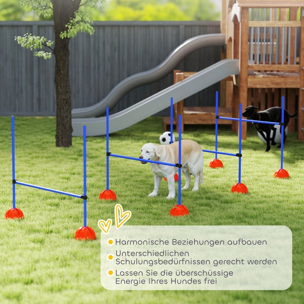 Hunde-Agility-Set mit blauen Stangen und orangefarbenen Füßen, auf einer Rasenfläche im Garten mit einem hellen Hund beim Training.