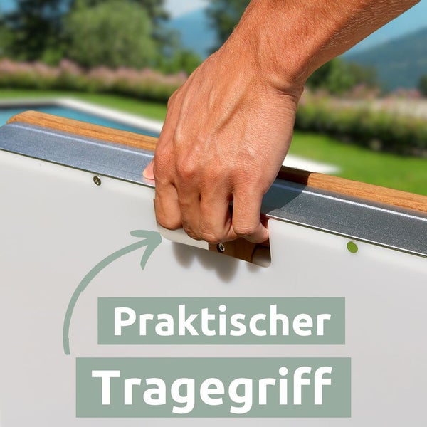 Zierpalme im Topf für den Innenbereich