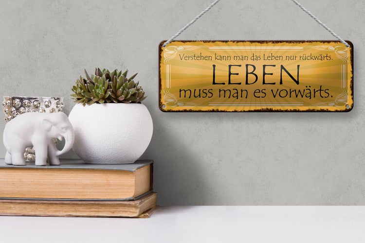 Blechschild Spruch 27x10cm Leben muss man es vorwärts Dekoration