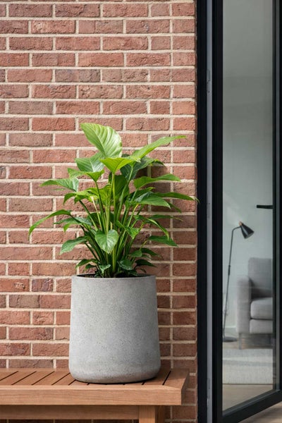 VIVANNO Blumentopf VEKRA 42x42x40 cm Fiberglas Vesuvgrau Beton-Design