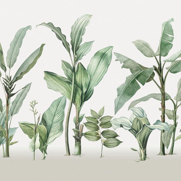 Illustration von tropischen Pflanzen für Wandgestaltung