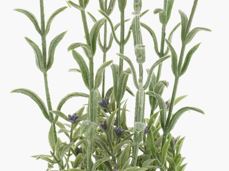 Künstlicher Lavendel mit grünen Stängeln und kleinen violetten Blüten.