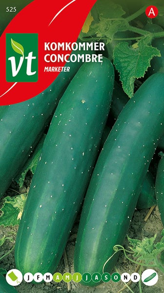 Abbildung von Einlegegurken-Saatgut Marketer