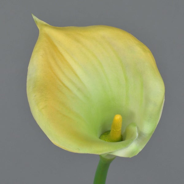 Künstliche Blume Calla mit pfirsichfarbener Blüte und grünem Stiel.
