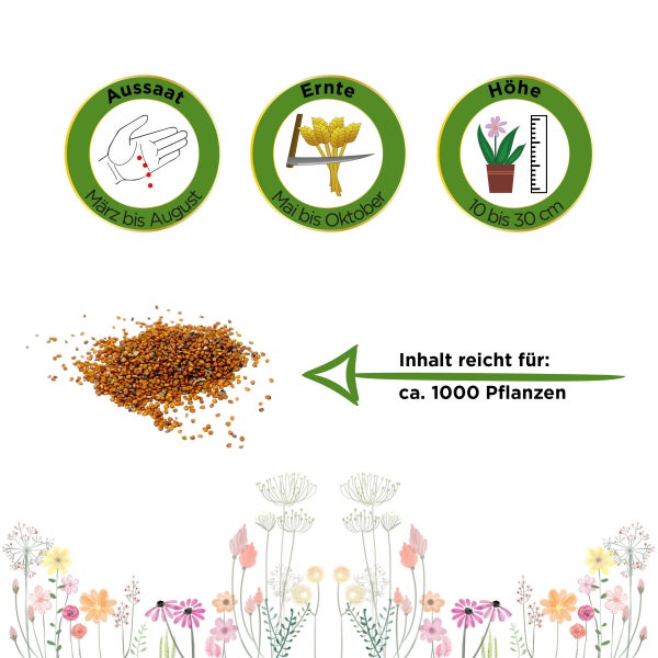 Brunnenkresse Kultivierte Samen von Deine Gartenwelt