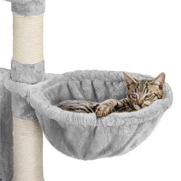 Katze entspannt in einem Kratzbaumkorb