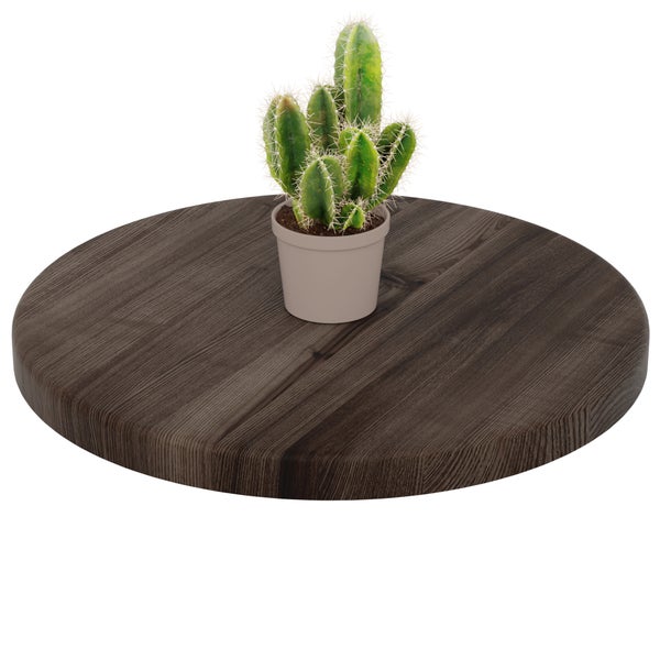 Kaktus in einem kleinen Topf auf einem runden Wandboard aus dunklem Holz.