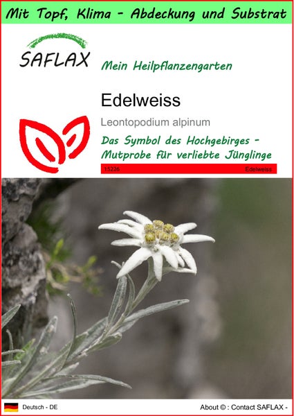 SAFLAX Garden to go - Edelweiss - Leontopodium alpinum - 500 Samen - Mit Topf, Klima - Deckel und Anzuchtsubstrat