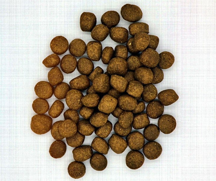 Insekten (1 x 14,5 kg) getreidefreies Hundefutter sensitiv I 33% Insekten Anteil I hypoallergenes Hundefutter mit Süßkartoffel