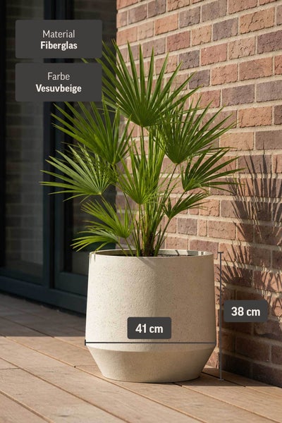 Pflanzgefäß aus Fiberglas in Vesuvbeige, 41 Zentimeter Durchmesser, 38 Zentimeter Höhe, mit Palme auf einer Holzterrasse vor einer Ziegelwand.
