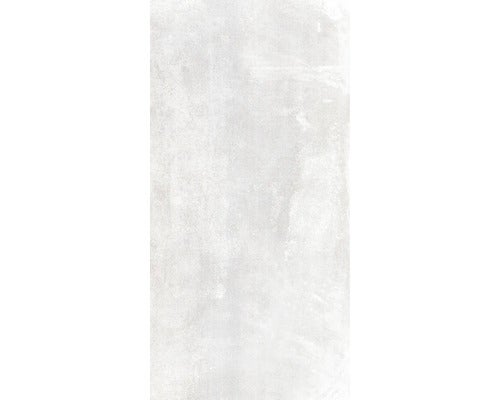 Bodenfliese Globus Platinum 30x60 cm rektifiziert
