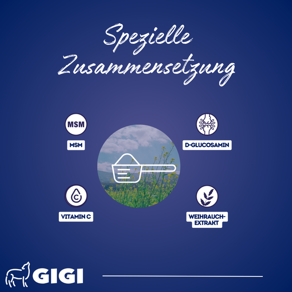 Spezielle Zusammensetzung mit MSM, D-Glucosamin, Vitamin C und Weihrauchextrakt