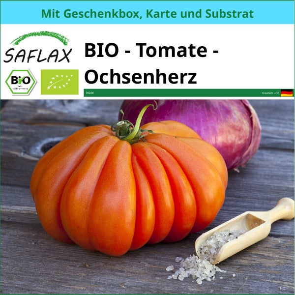 SAFLAX Geschenk Set - BIO - Tomate - Ochsenherz - Solanum lycopersicum - 10 Samen - Mit Geschenkbox, Versandaufkleber, Geschenkkarte und Anzuchtsubstrat